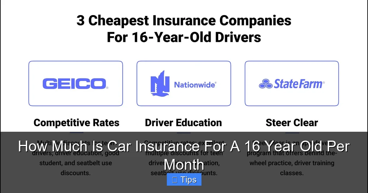 How Much Is Car Insurance For A 16 Year Old Per Month