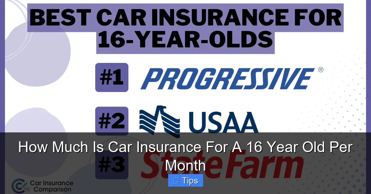 How Much Is Car Insurance For A 16 Year Old Per Month