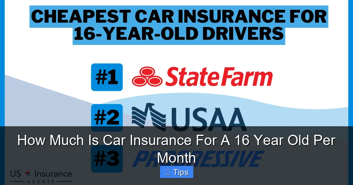 How Much Is Car Insurance For A 16 Year Old Per Month