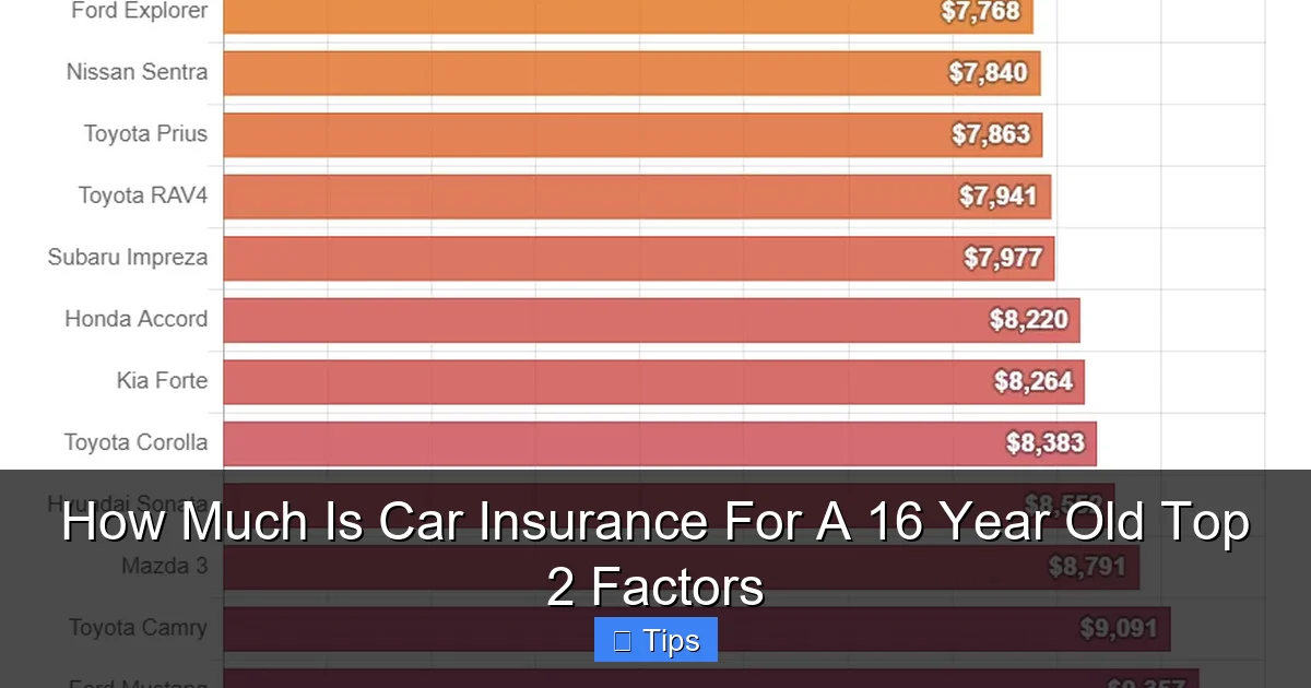 How Much Is Car Insurance For A 16 Year Old Top 2 Factors