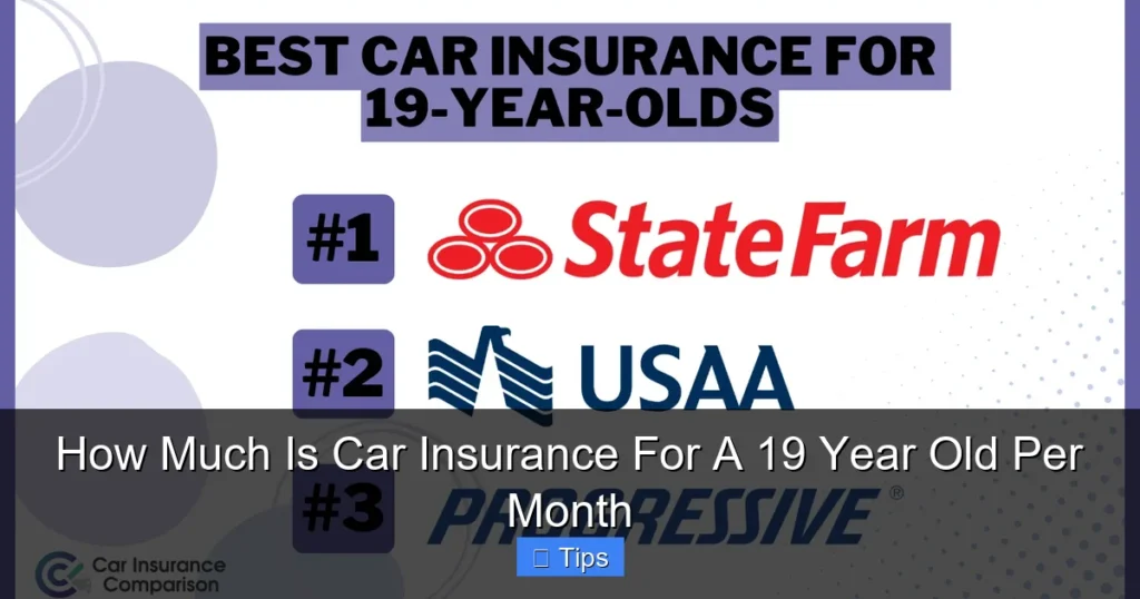 How Much Is Car Insurance For A 19 Year Old Per Month