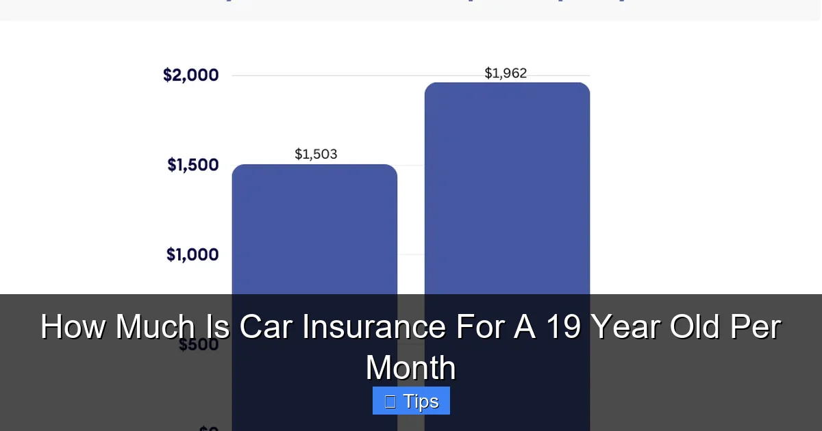 How Much Is Car Insurance For A 19 Year Old Per Month