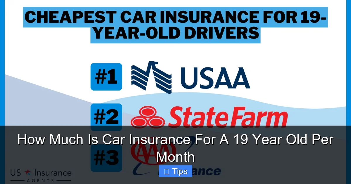 How Much Is Car Insurance For A 19 Year Old Per Month