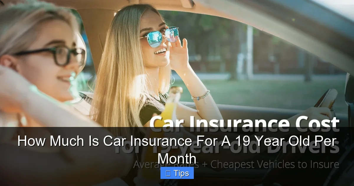 How Much Is Car Insurance For A 19 Year Old Per Month