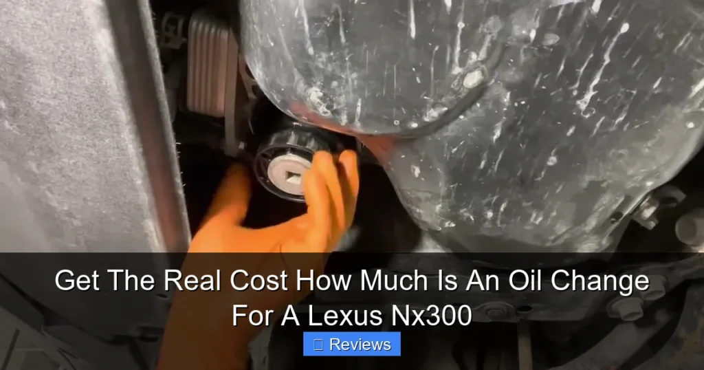 Get The Real Cost How Much Is An Oil Change For A Lexus Nx300