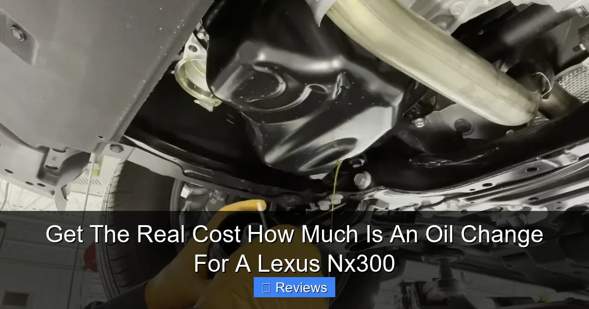 Get The Real Cost How Much Is An Oil Change For A Lexus Nx300