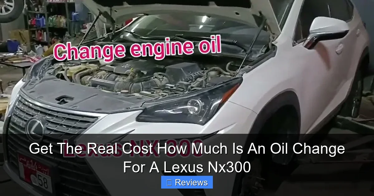 Get The Real Cost How Much Is An Oil Change For A Lexus Nx300