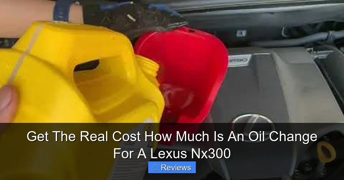 Get The Real Cost How Much Is An Oil Change For A Lexus Nx300