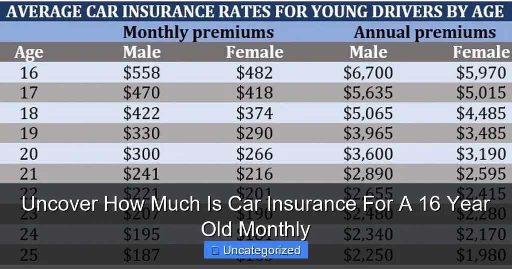 Uncover How Much Is Car Insurance For A 16 Year Old Monthly