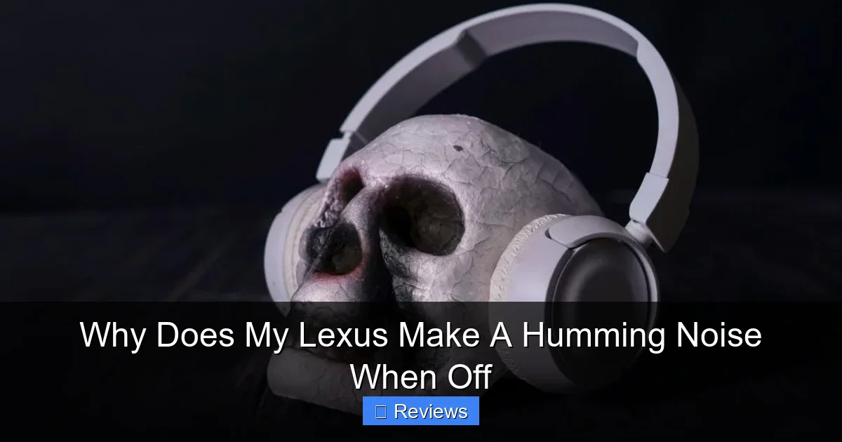 Why Does My Lexus Make A Humming Noise When Off