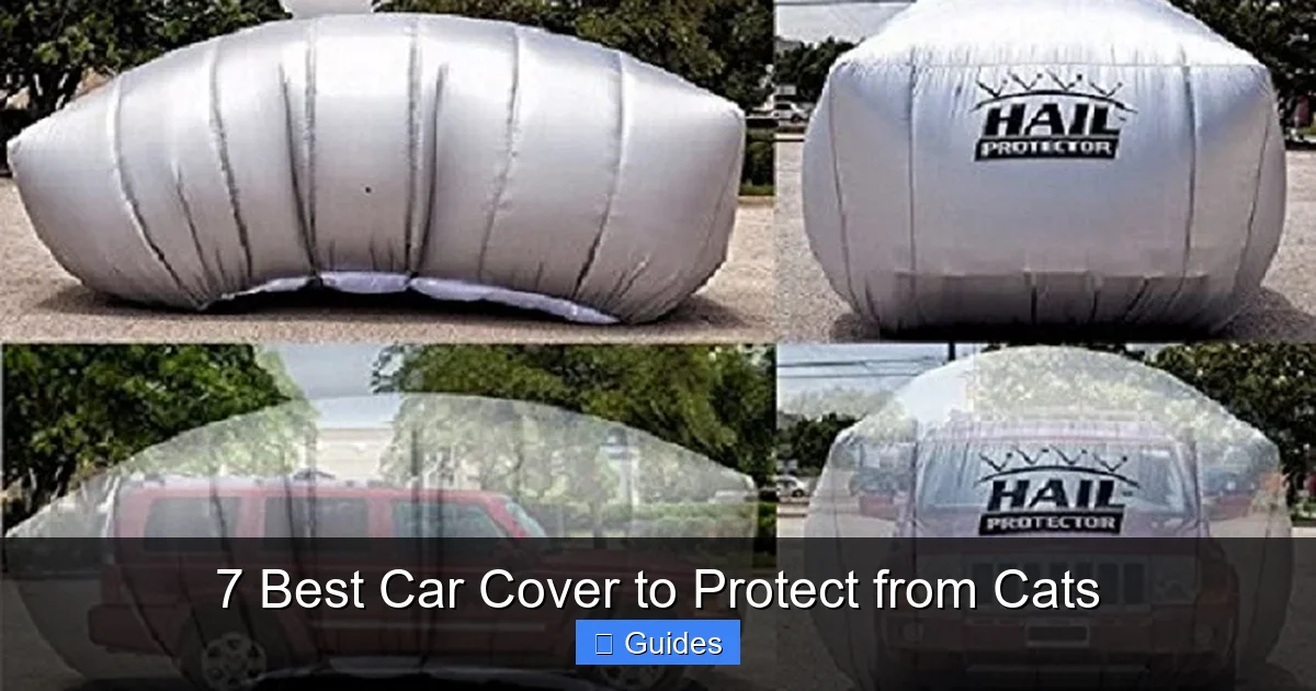 7 Best Car Cover to Protect from Cats