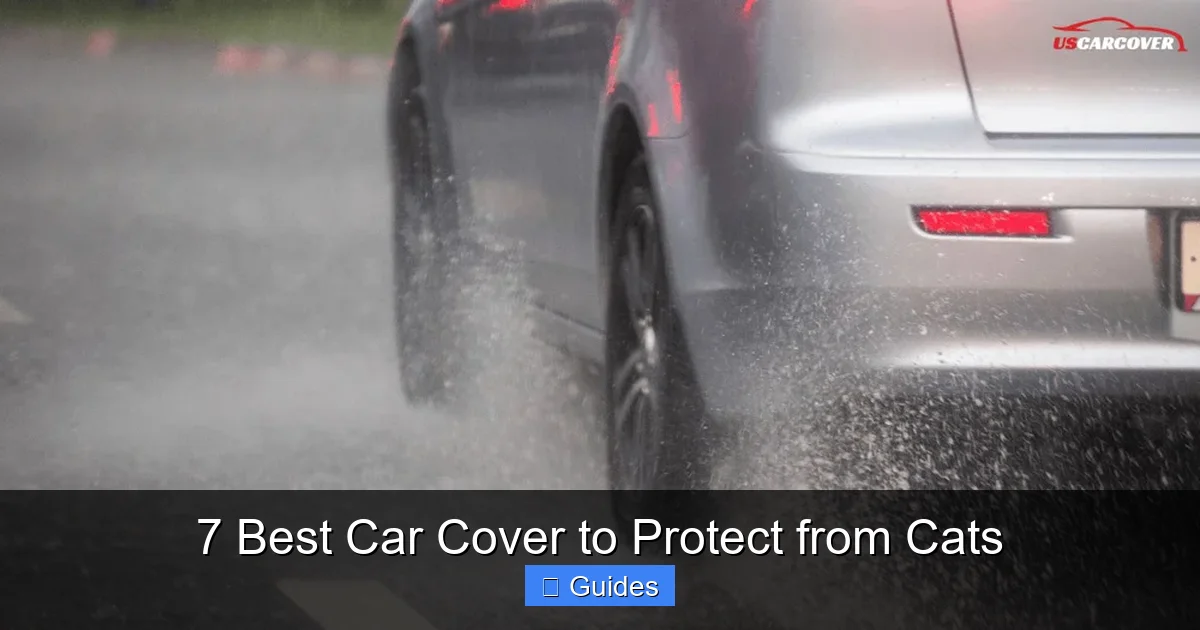 7 Best Car Cover to Protect from Cats