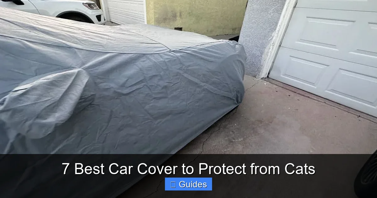 7 Best Car Cover to Protect from Cats