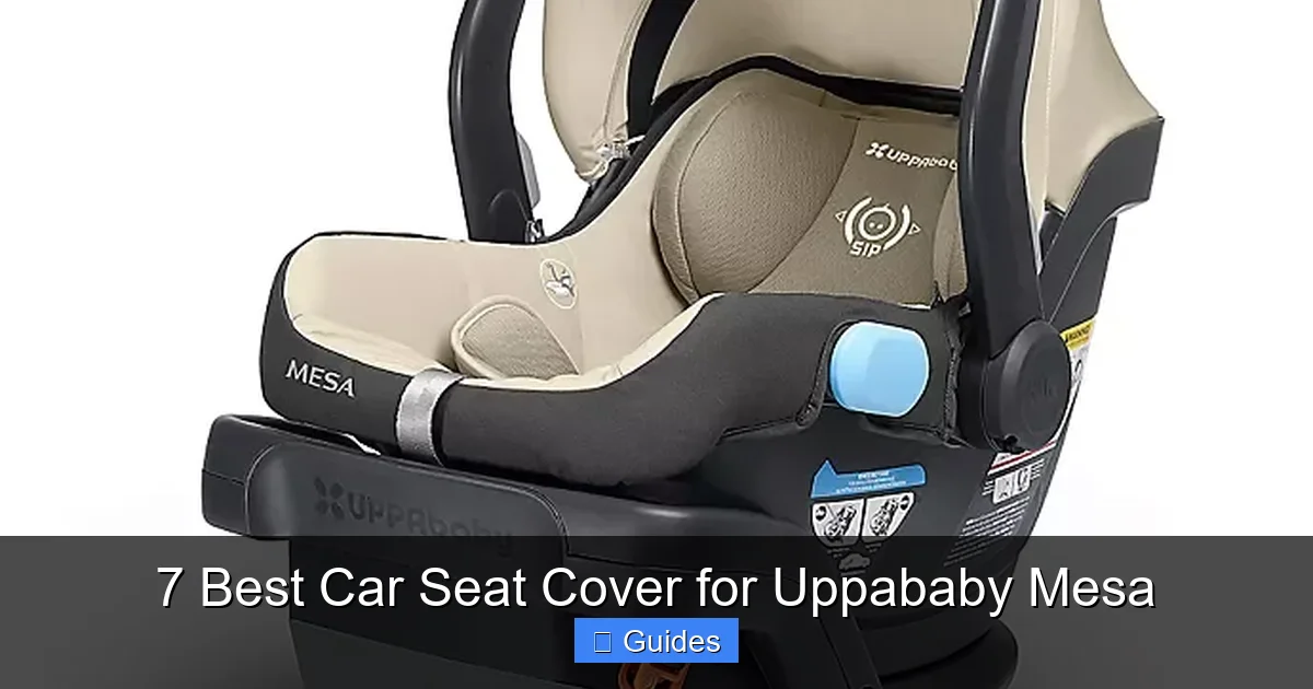 7 Best Car Seat Cover for Uppababy Mesa