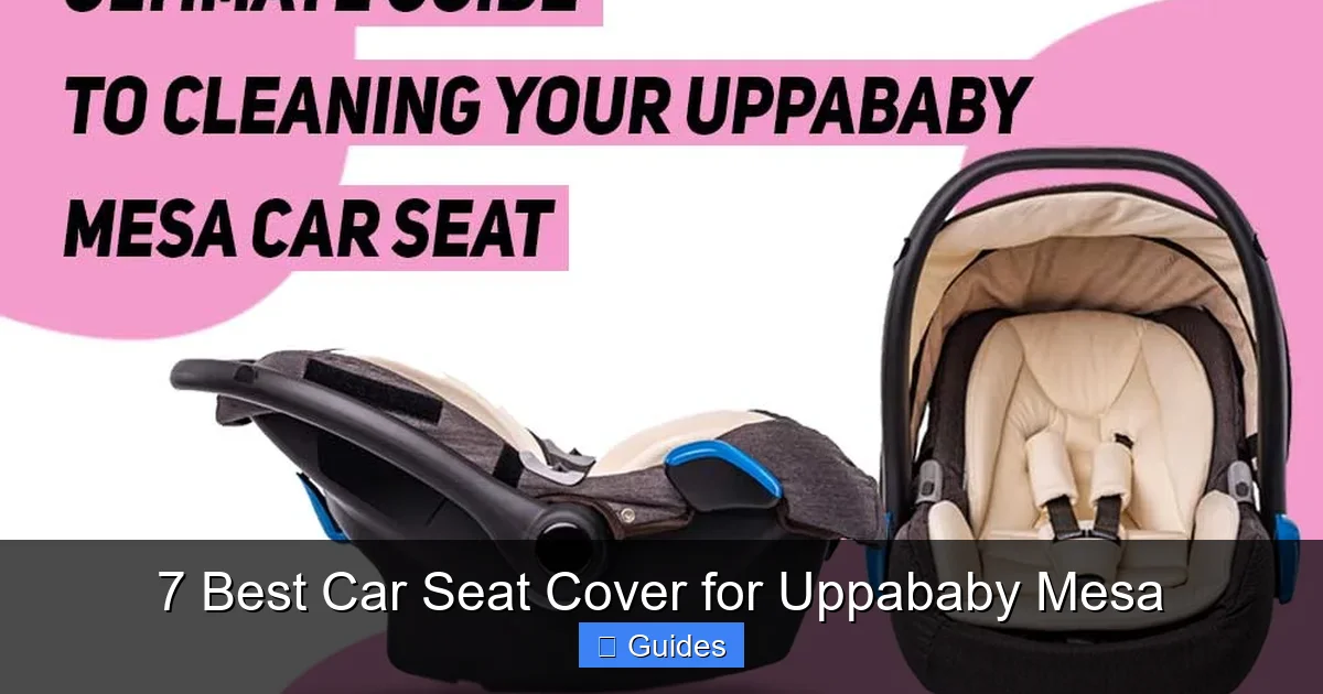 7 Best Car Seat Cover for Uppababy Mesa