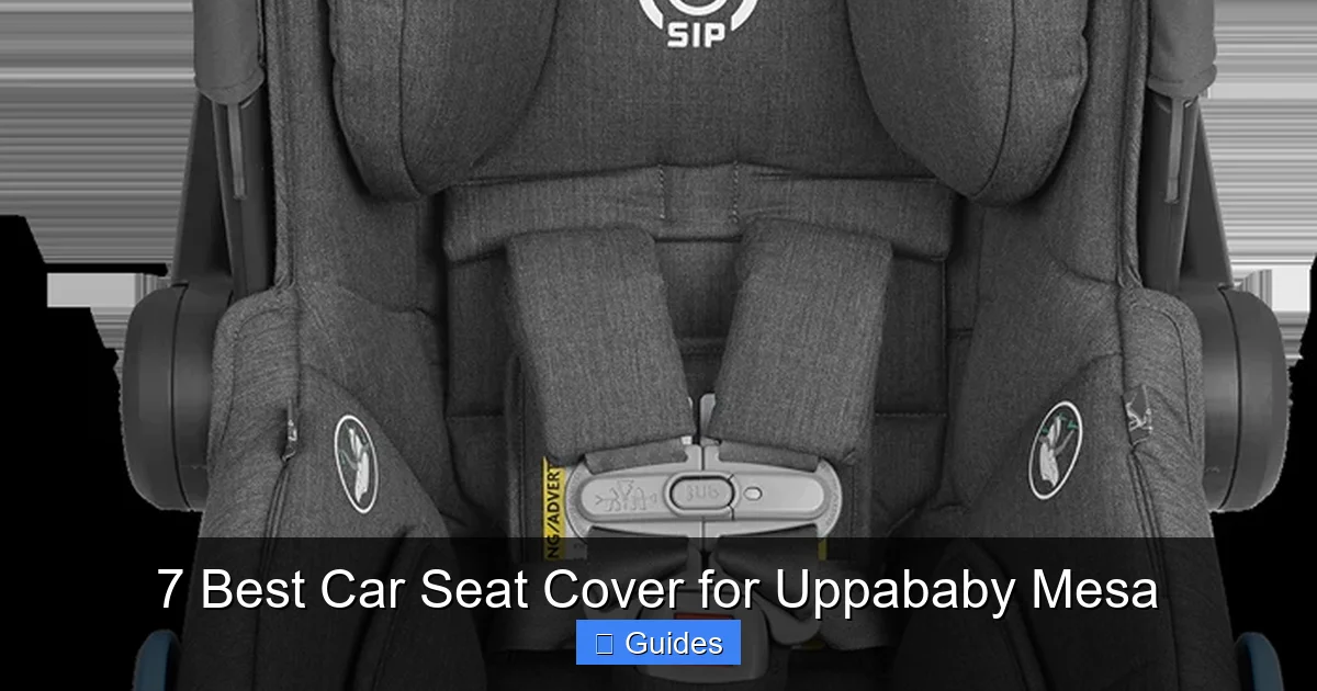 7 Best Car Seat Cover for Uppababy Mesa
