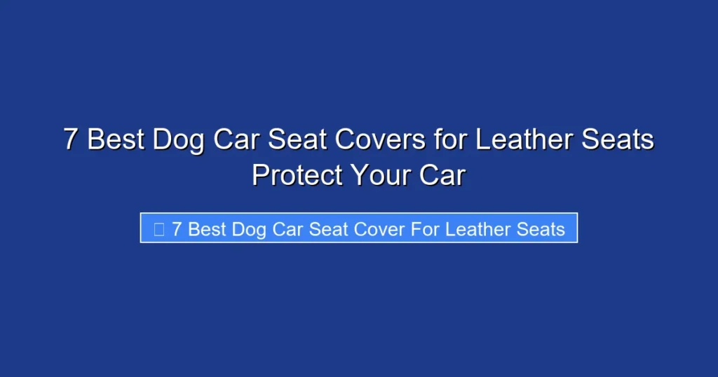 7 Best Dog Car Seat Covers for Leather Seats Protect Your Car