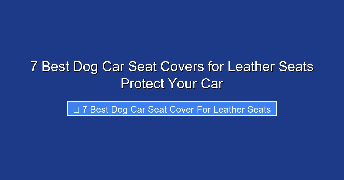 7 Best Dog Car Seat Covers for Leather Seats Protect Your Car