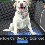 Best Convertible Car Seat for Extended Cab Truck