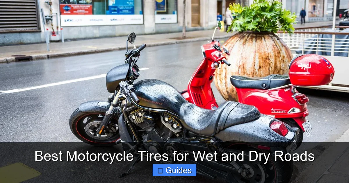 Best Motorcycle Tires for Wet and Dry Roads