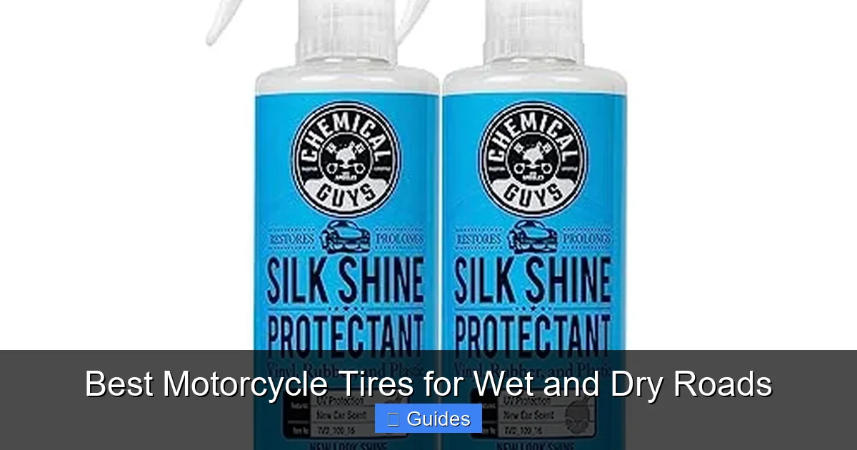 Best Motorcycle Tires for Wet and Dry Roads