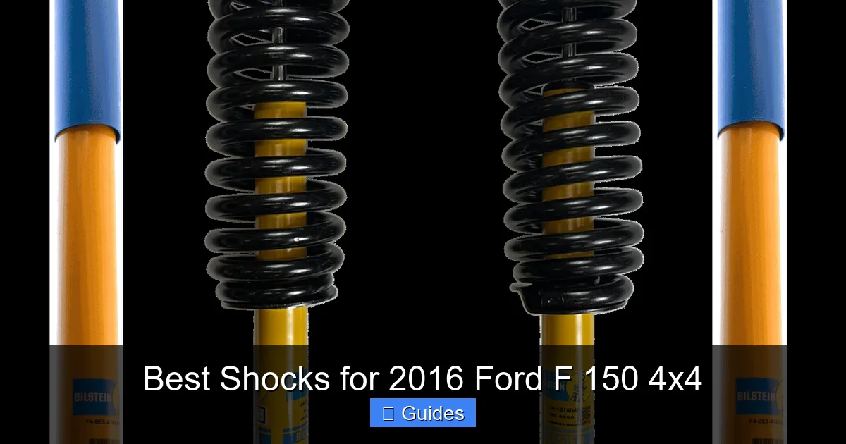 Best Shocks for 2016 Ford F 150 4x4
