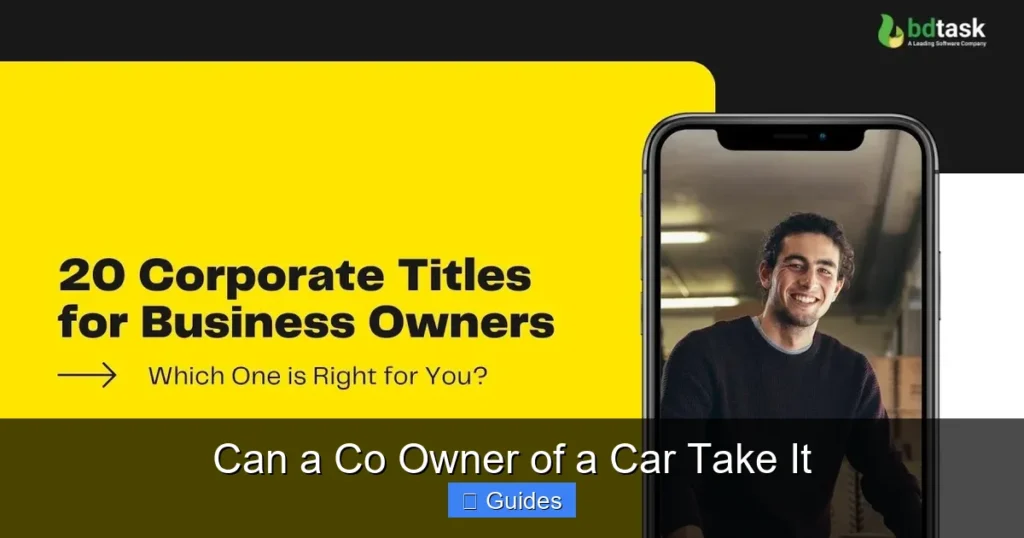 Can a Co Owner of a Car Take It