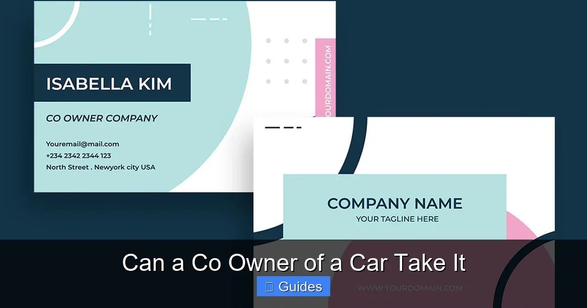 Can a Co Owner of a Car Take It