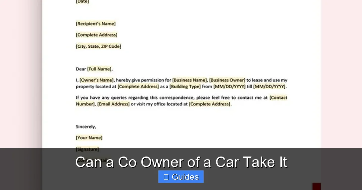 Can a Co Owner of a Car Take It