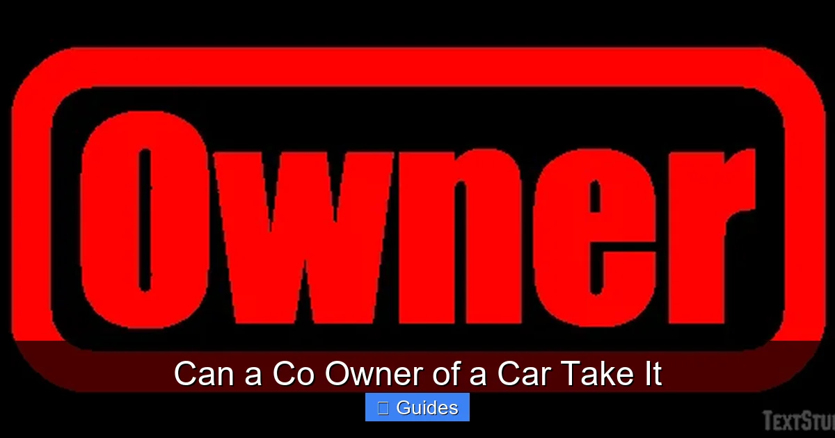 Can a Co Owner of a Car Take It
