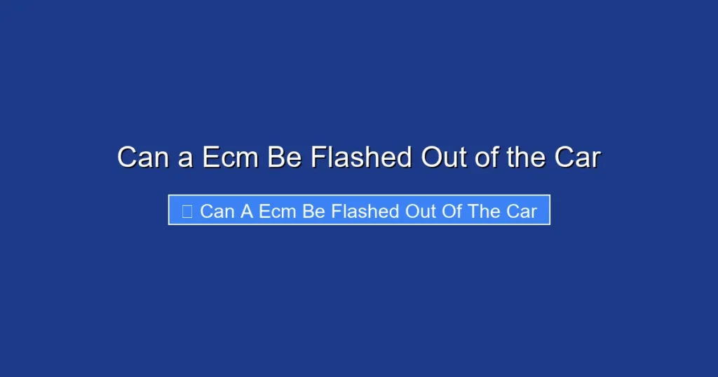 Can a Ecm Be Flashed Out of the Car