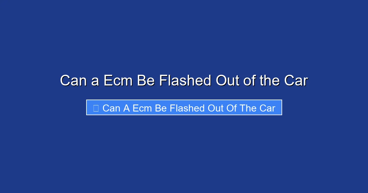 Can a Ecm Be Flashed Out of the Car