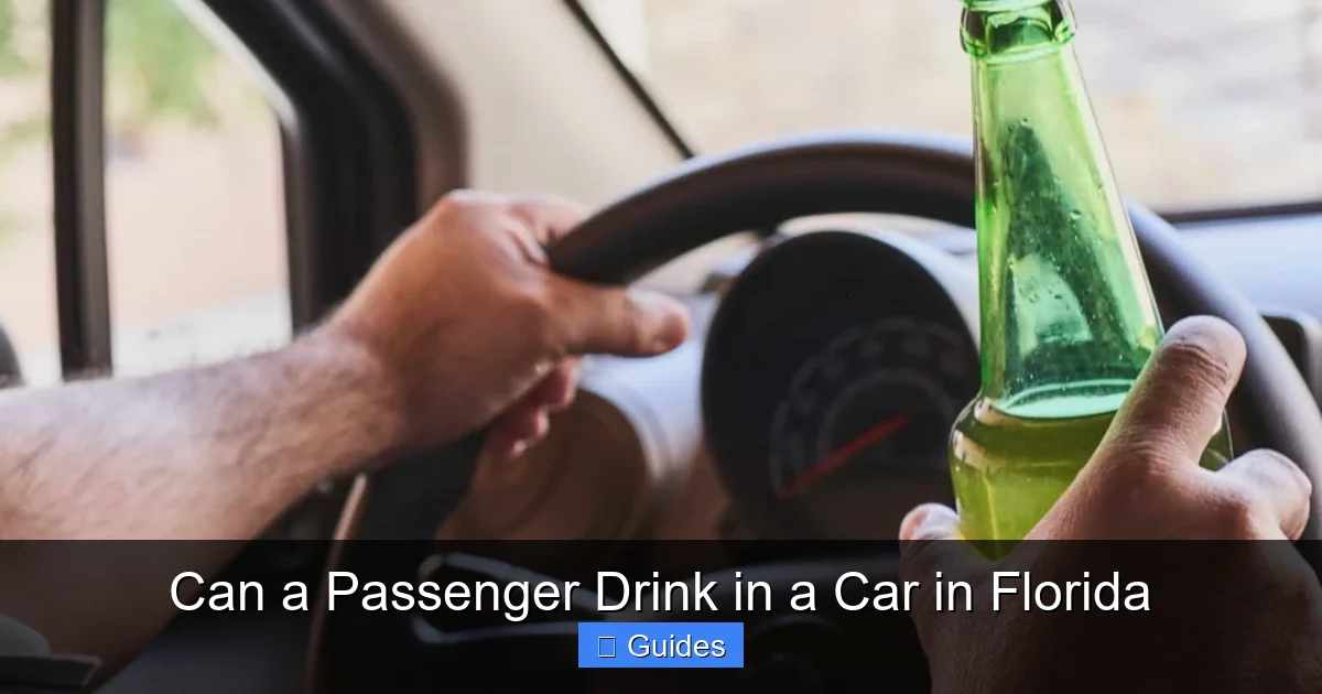 Can a Passenger Drink in a Car in Florida