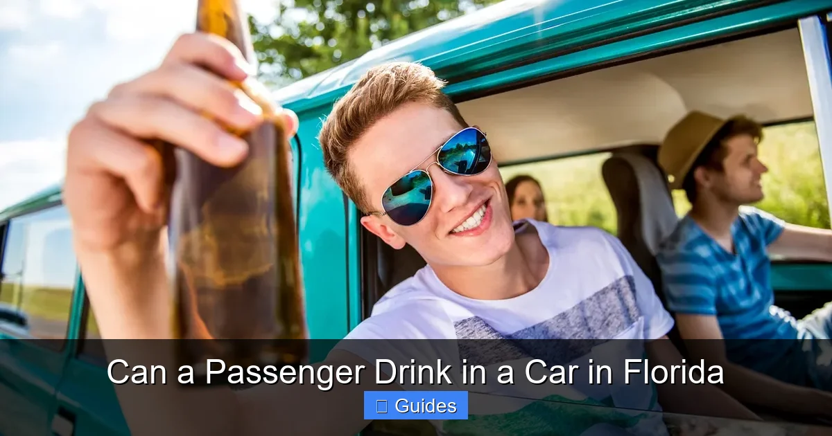 Can a Passenger Drink in a Car in Florida