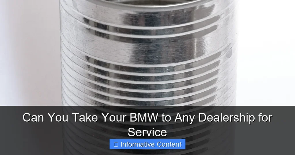 Can You Take Your BMW to Any Dealership for Service