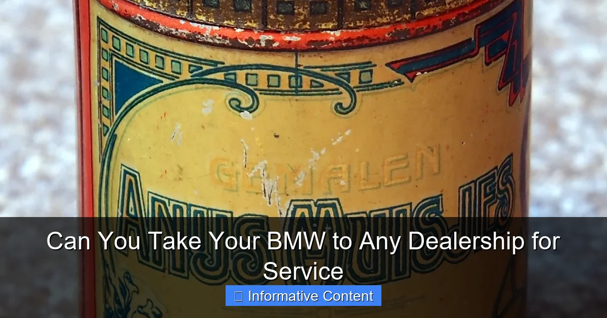 Can You Take Your BMW to Any Dealership for Service