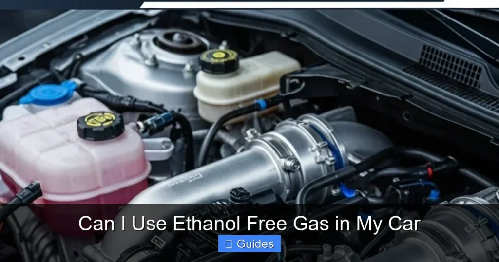 Can I Use Ethanol Free Gas in My Car