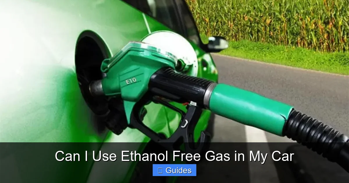Can I Use Ethanol Free Gas in My Car