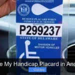 Can I Use My Handicap Placard in Another Car