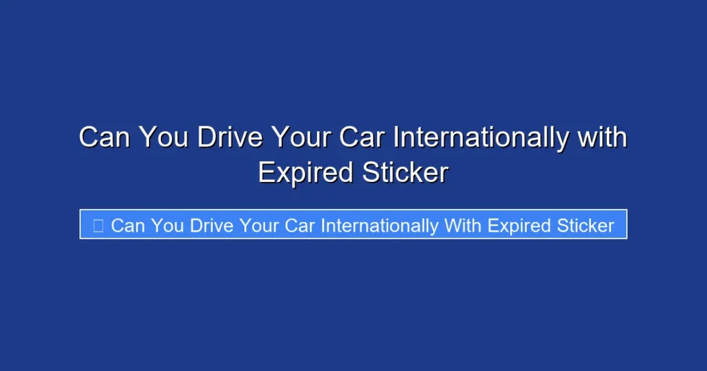 Can You Drive Your Car Internationally with Expired Sticker