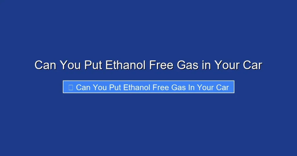 Can You Put Ethanol Free Gas in Your Car