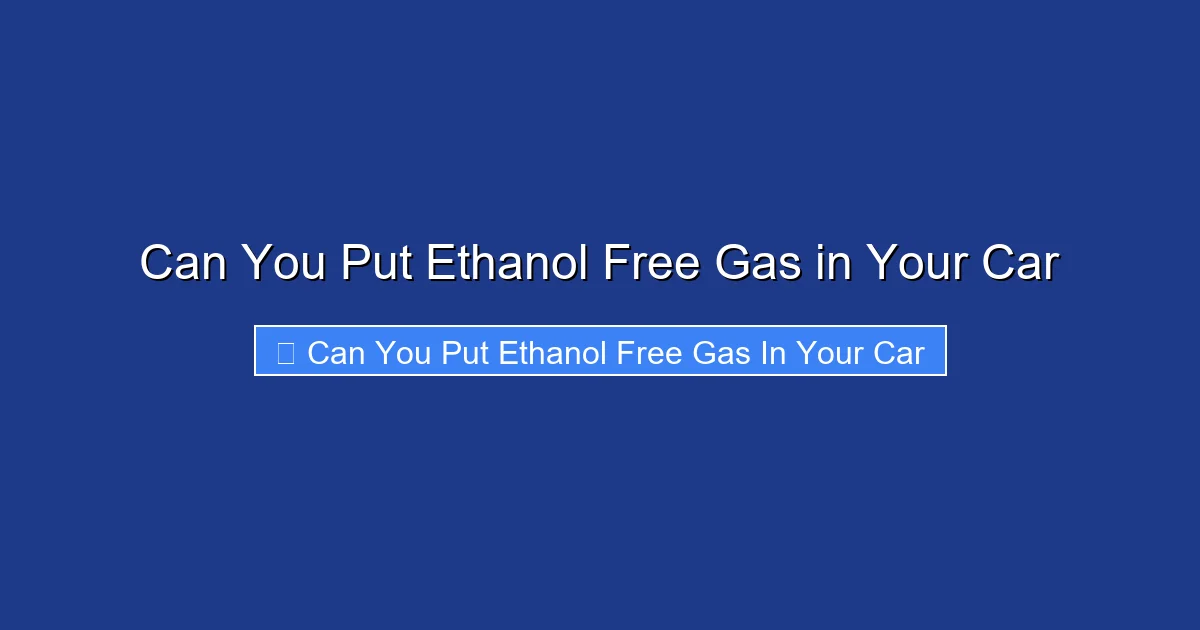 Can You Put Ethanol Free Gas in Your Car