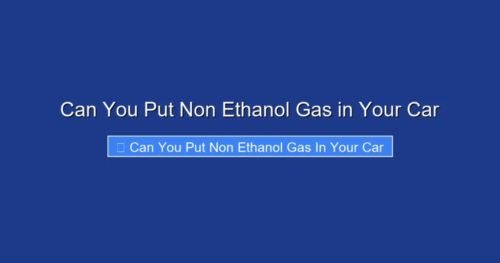 Can You Put Non Ethanol Gas in Your Car
