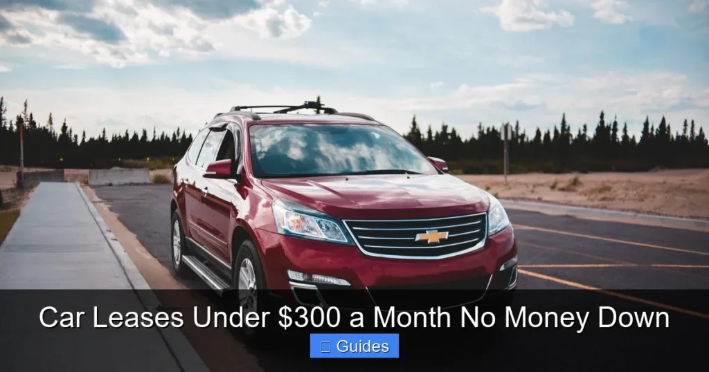 Car Leases Under $300 a Month No Money Down