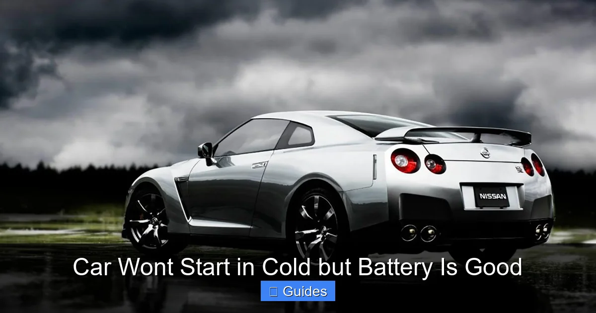 Car Wont Start in Cold but Battery Is Good