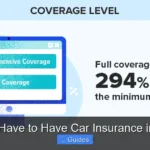 Do You Have to Have Car Insurance in Florida