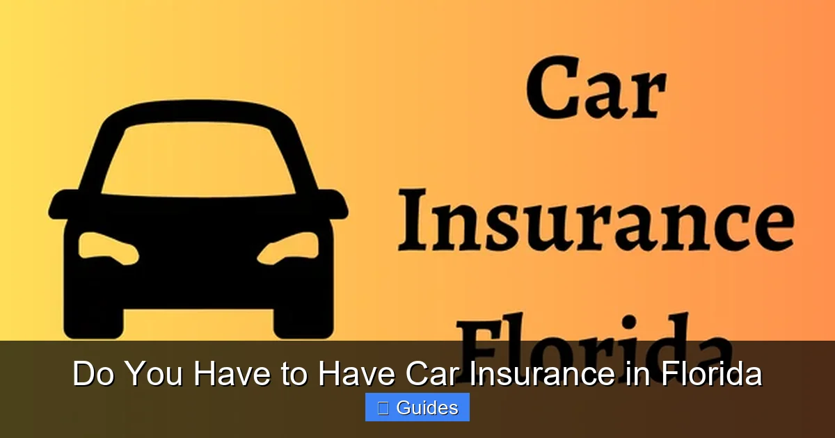 Do You Have to Have Car Insurance in Florida