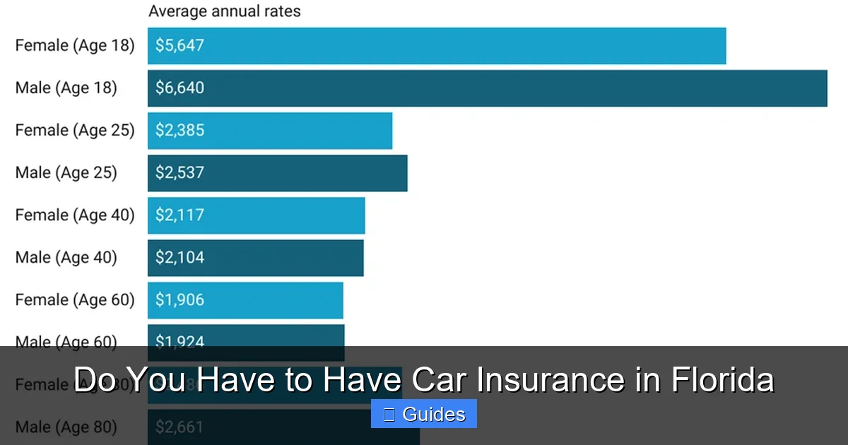 Do You Have to Have Car Insurance in Florida