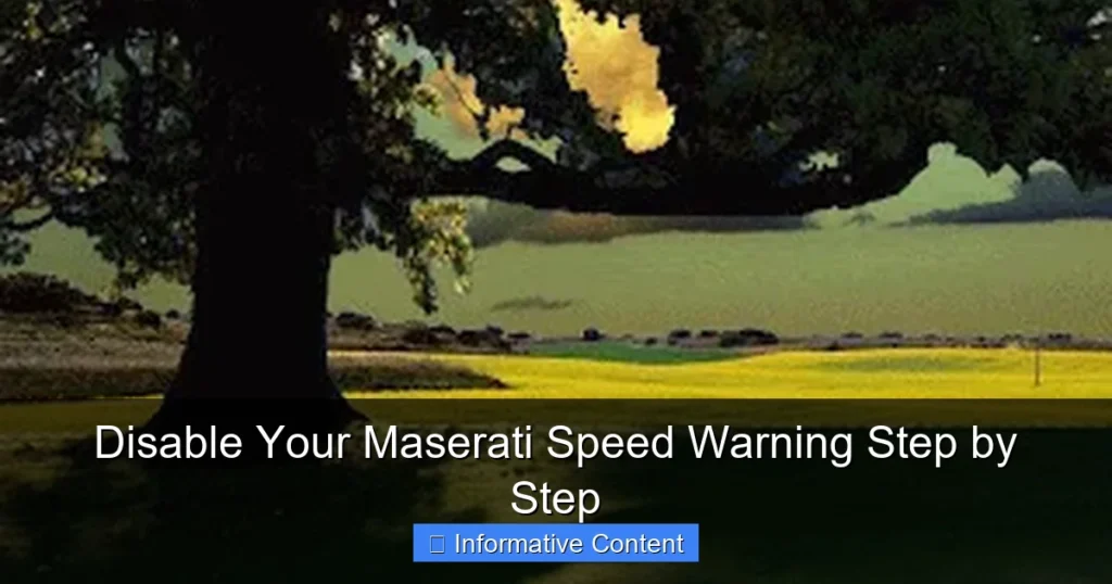 Disable Your Maserati Speed Warning Step by Step