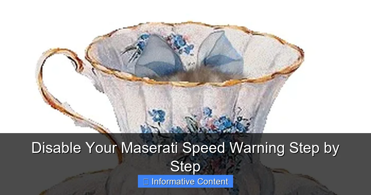 Disable Your Maserati Speed Warning Step by Step